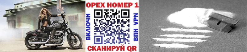 Cocaine FishScale  Бокситогорск 