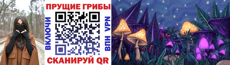 blacksprut ссылка Бокситогорск Псилоцибиновые грибы Psilocybine cubensis