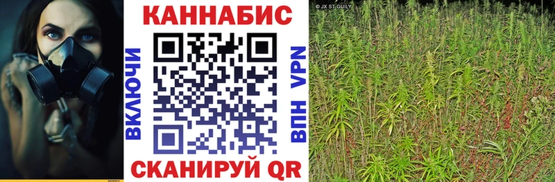 Марихуана индика  как найти наркотики  Бокситогорск 